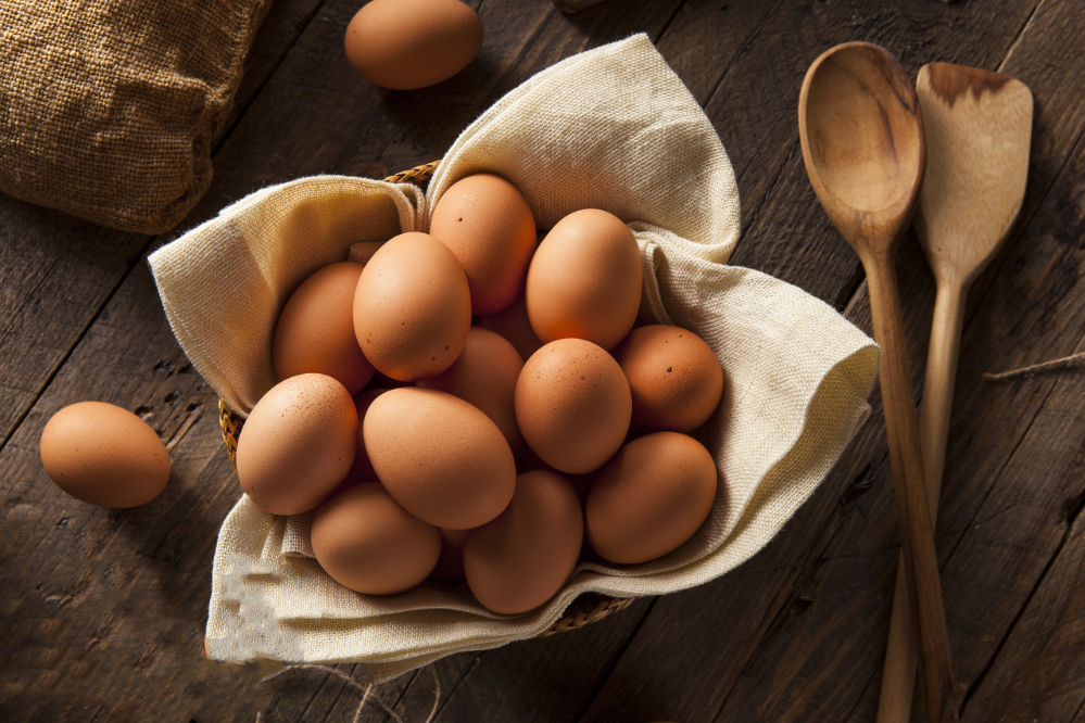 标准的无菌鸡蛋是怎样生产出来的？